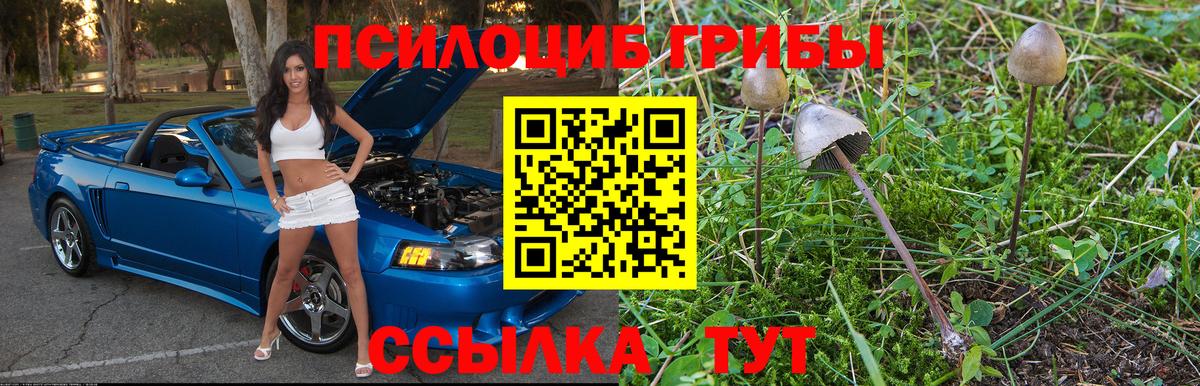 цена   Вход с VPN  Галлюциногенные грибы Cubensis  Печора  Псилоцибиновые грибы Magic Shrooms 