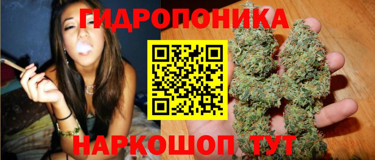 Бошки марихуана Bruce Banner Печора